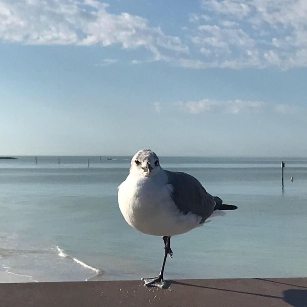 Meet your Posher, Christi